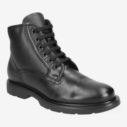 Galizio Torresi Art. 323428 V19667 Schwarz